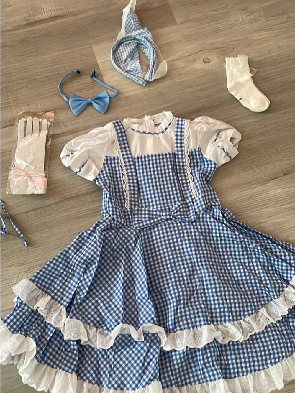 Dorothy Costume